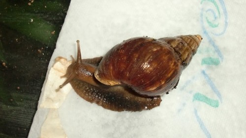 Tierbilder November 2015 014.JPG