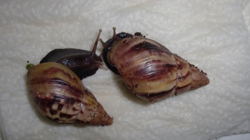 Tierbilder Februar 2016 013.JPG