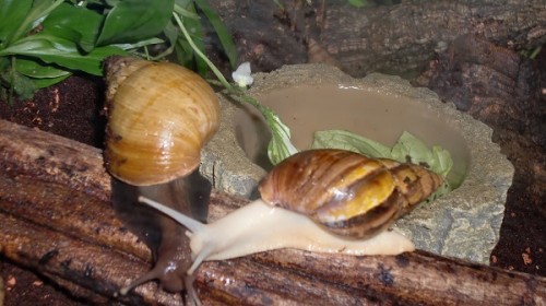 Tierbilder Februar 2016 016.JPG