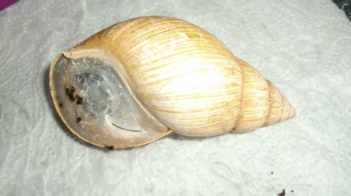 Tierbilder Februar 2016 030.JPG