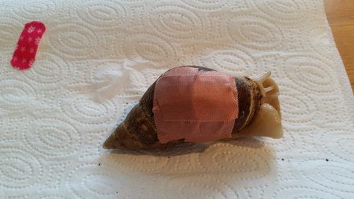 20160227_131754 (Copy).jpg