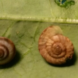 2016-03-04 17.44.17.jpg