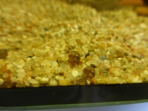 1-P1010148.JPG