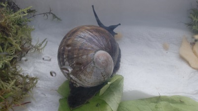 Tierbilder März 2016 030.JPG