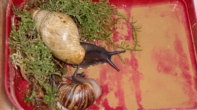 Tierbilder März 2016 093.JPG