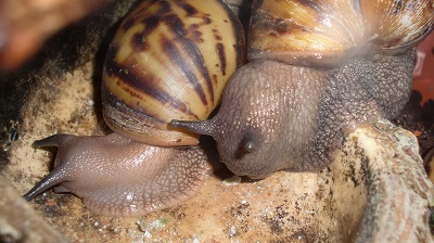 Tierbilder März 2016 077.JPG