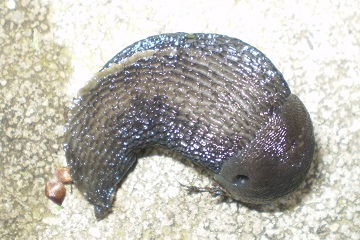 20160412.JPG
