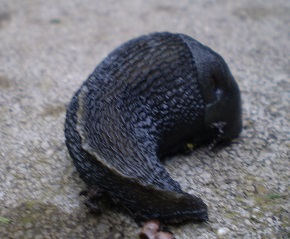 20160412_3.JPG