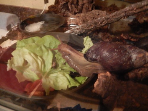 DSCN3525.JPG