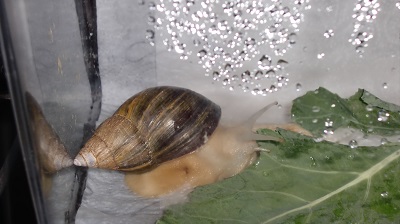 Tierbilder Mai 001.JPG