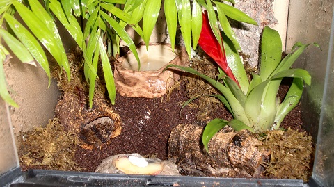 Tierbilder Juni+Juli 2016 026.JPG