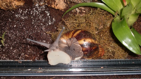 Tierbilder Juni+Juli 2016 033.JPG