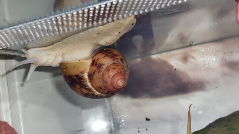 Tierbilder Juni+Juli 2016 034.JPG