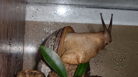 Tierbilder Juni+Juli 2016 036.JPG