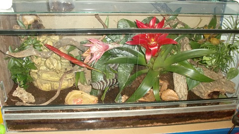 Tierbilder Juni+Juli 2016 035.JPG