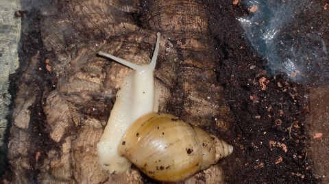 Tierbilder Juni+Juli 2016 041.JPG