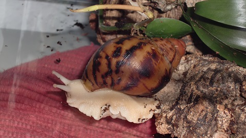 Tierbilder Juni+Juli 2016 044.JPG