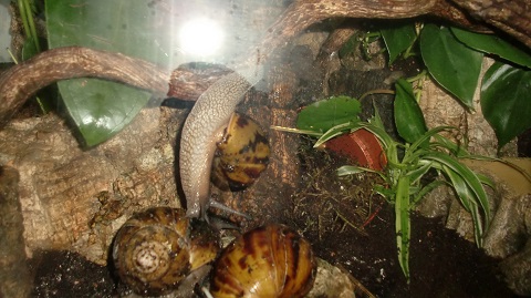 Tierbilder Juni+Juli 2016 047.JPG