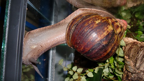 Tierbilder Juni+Juli 2016 042.JPG