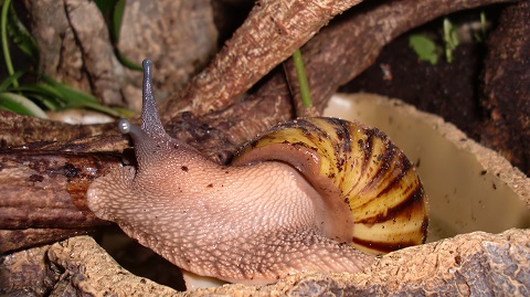 Tierbilder Juni+Juli 2016 051.JPG