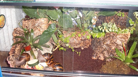 Tierbilder Juni+Juli 2016 005.JPG