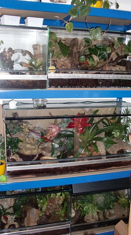 Tierbilder Juni+Juli 2016 056.JPG