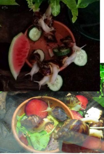 vergleich 2 wochen.jpg