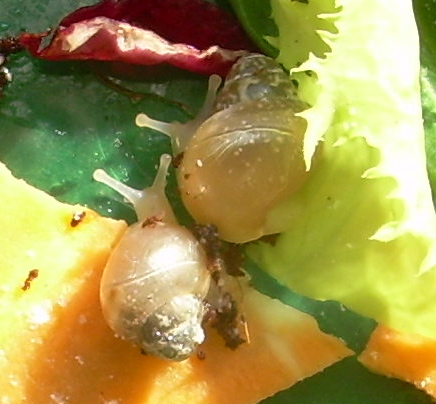 DSCN8494.JPG