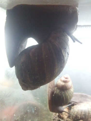20160707_234645.jpg