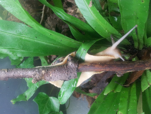 20160717_012649.jpg