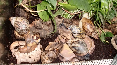 Tierbilder Juli 055.JPG