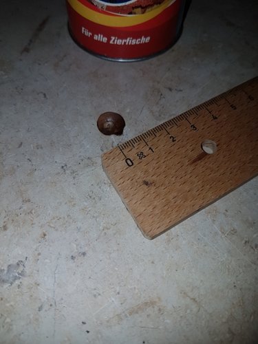 20160721_220237.jpg