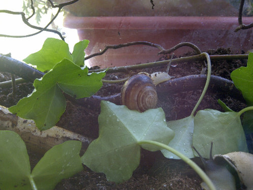 Lotta und Schnecke.jpg