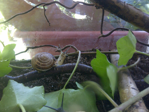 Lotta und Schnecke 2 .jpg