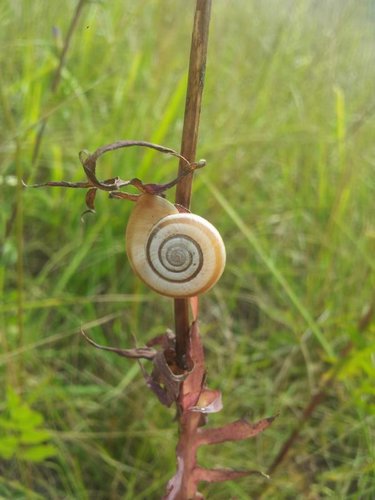 20160730_115907.JPG