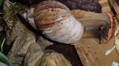 Tierbilder August 2016 099.JPG