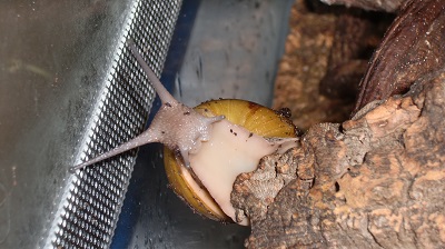 Tierbilder August 2016 131.JPG