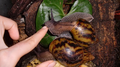 Tierbilder August 2016 107.JPG