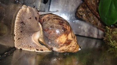 Tierbilder August 2016 116.JPG