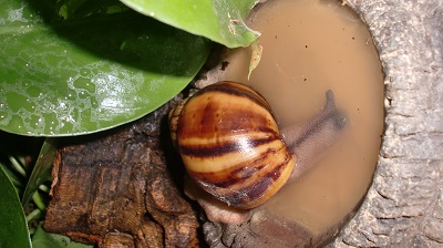 Tierbilder August 2016 071.JPG