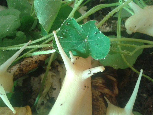 20160910_170907aaaaa.jpg