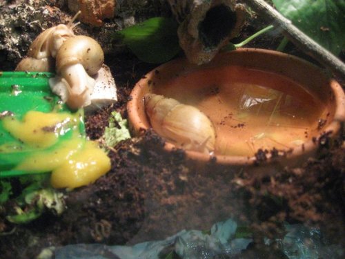 chilling in the bath.jpg