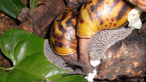 Tierbilder Septemper,Oktober 073.JPG