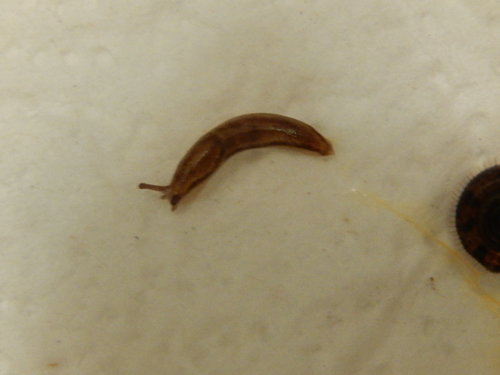 DSCN5004.JPG