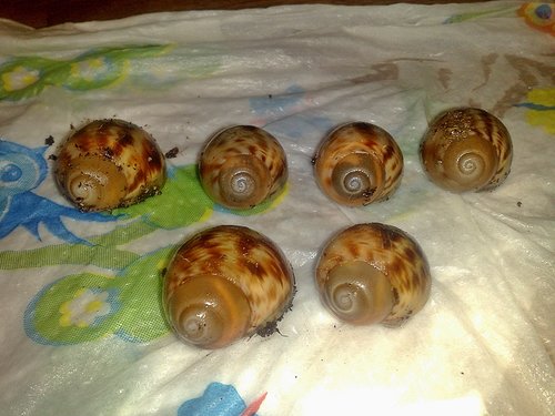 011120164511 - Kopie.jpg