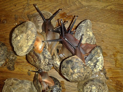 091120164523 - Kopie.jpg