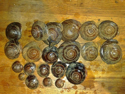 091120164525 - Kopie.jpg