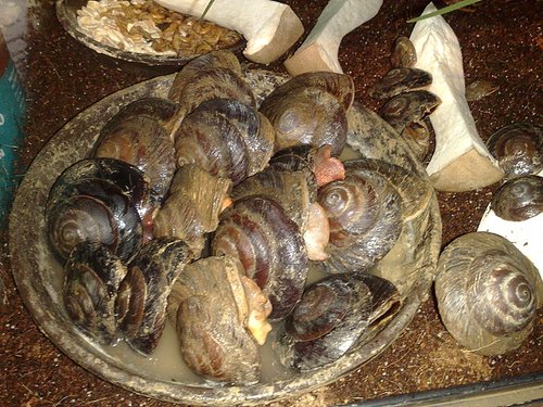 091120164526 - Kopie.jpg