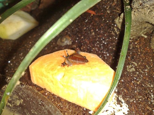 101120164532 - Kopie.jpg