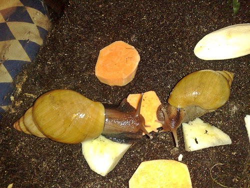 101120164531 - Kopie.jpg